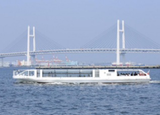 写真:シーバス（横浜クルージング）