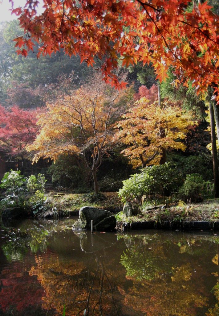 横浜市能楽堂 久良岐能舞台の画像03