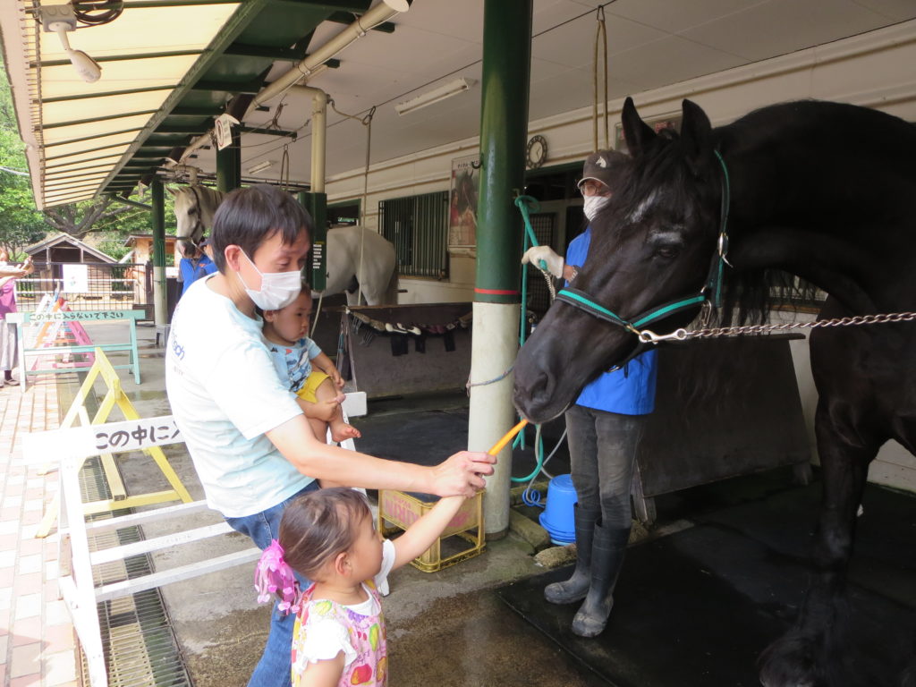 馬の博物館【馬の博物館は収蔵物の整理・移動のため2024年１月28日(日)をもって休館中】の画像03