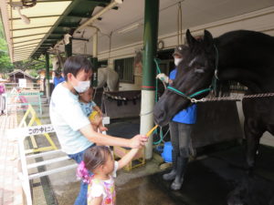 馬の博物館【馬の博物館は収蔵物の整理・移動のため2024年１月28日(日)をもって休館中】の画像03