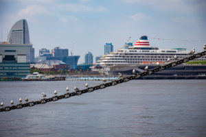 サイト・リニューアルのお知らせ