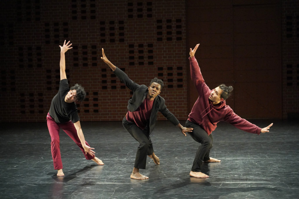 横浜ダンスコレクション2021の画像