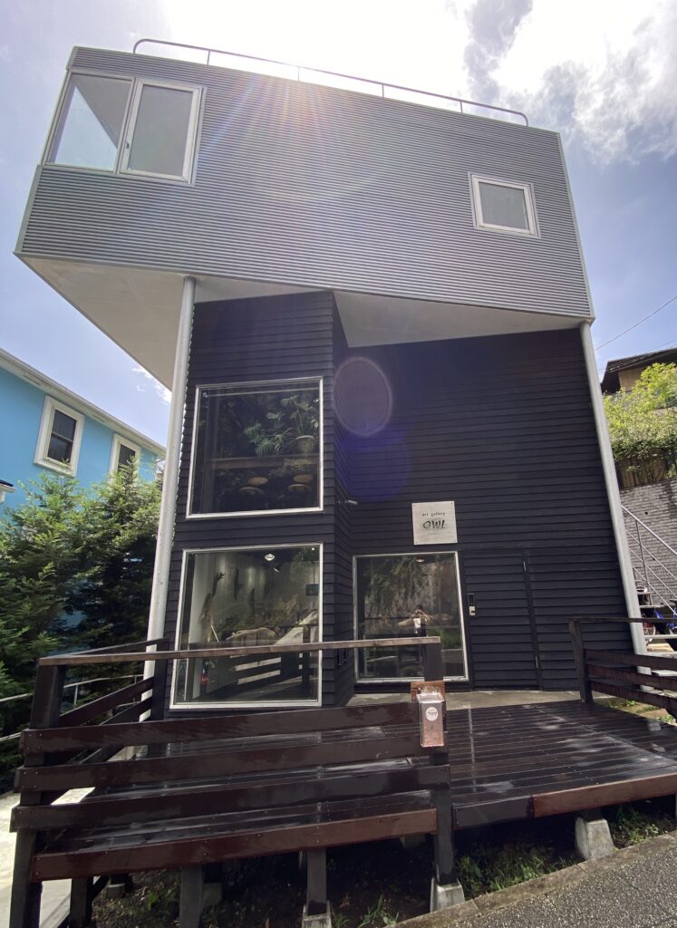 Art Gallery OWLの画像01