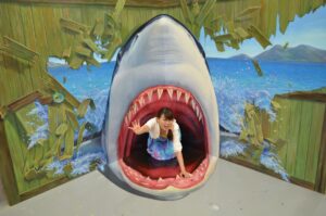 横浜トリックアートクルーズの画像03